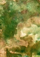 Gul valmue - akvarell